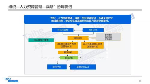 構(gòu)建以網(wǎng)絡(luò)技術(shù)開(kāi)發(fā)為驅(qū)動(dòng)的人力資源管理體系，助力企業(yè)實(shí)現(xiàn)跨越式發(fā)展